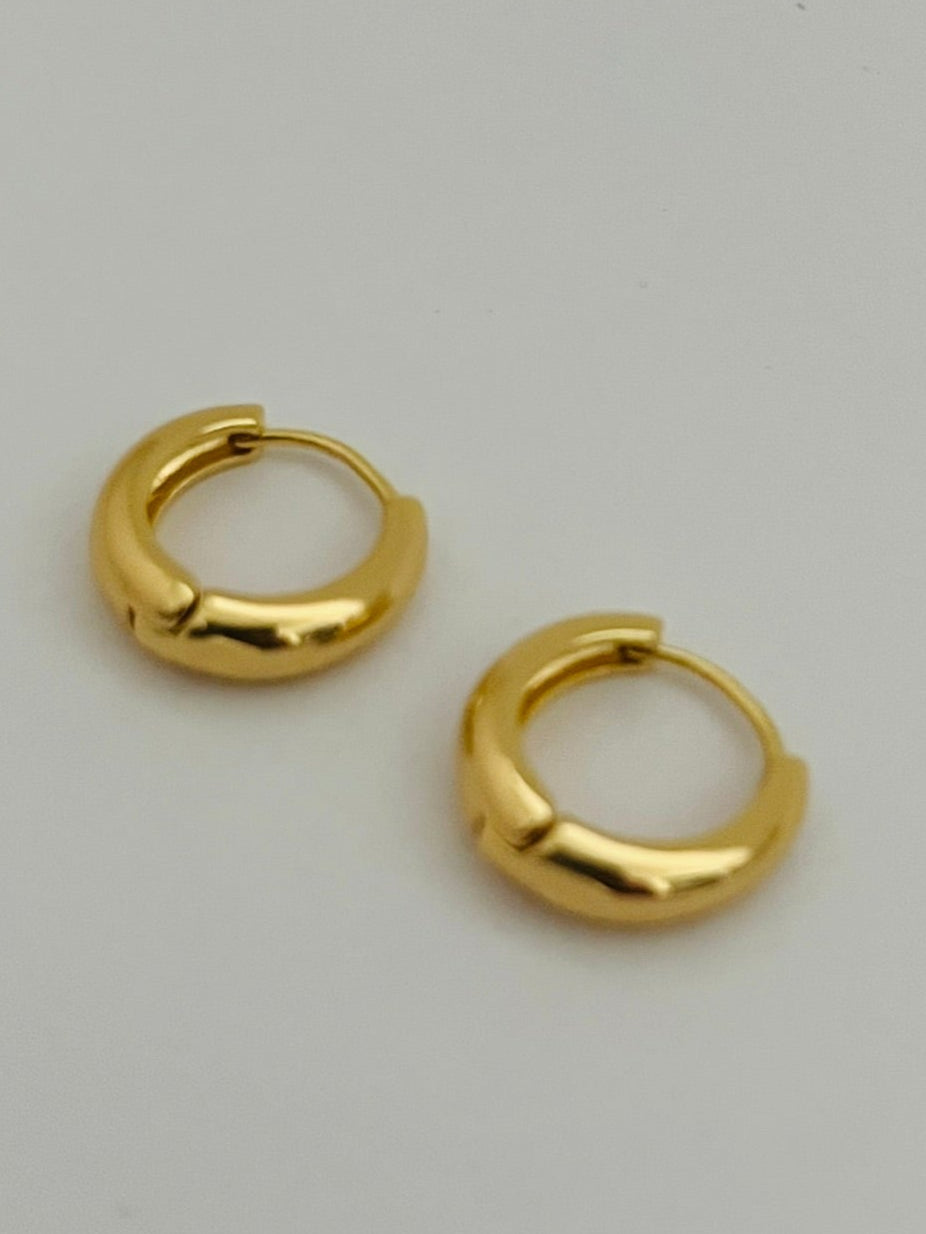Sadie huggie gold  hoop earrings