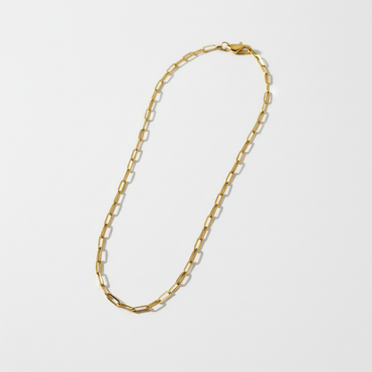 Sofia gold fine paperclip chain necklace on pure white background